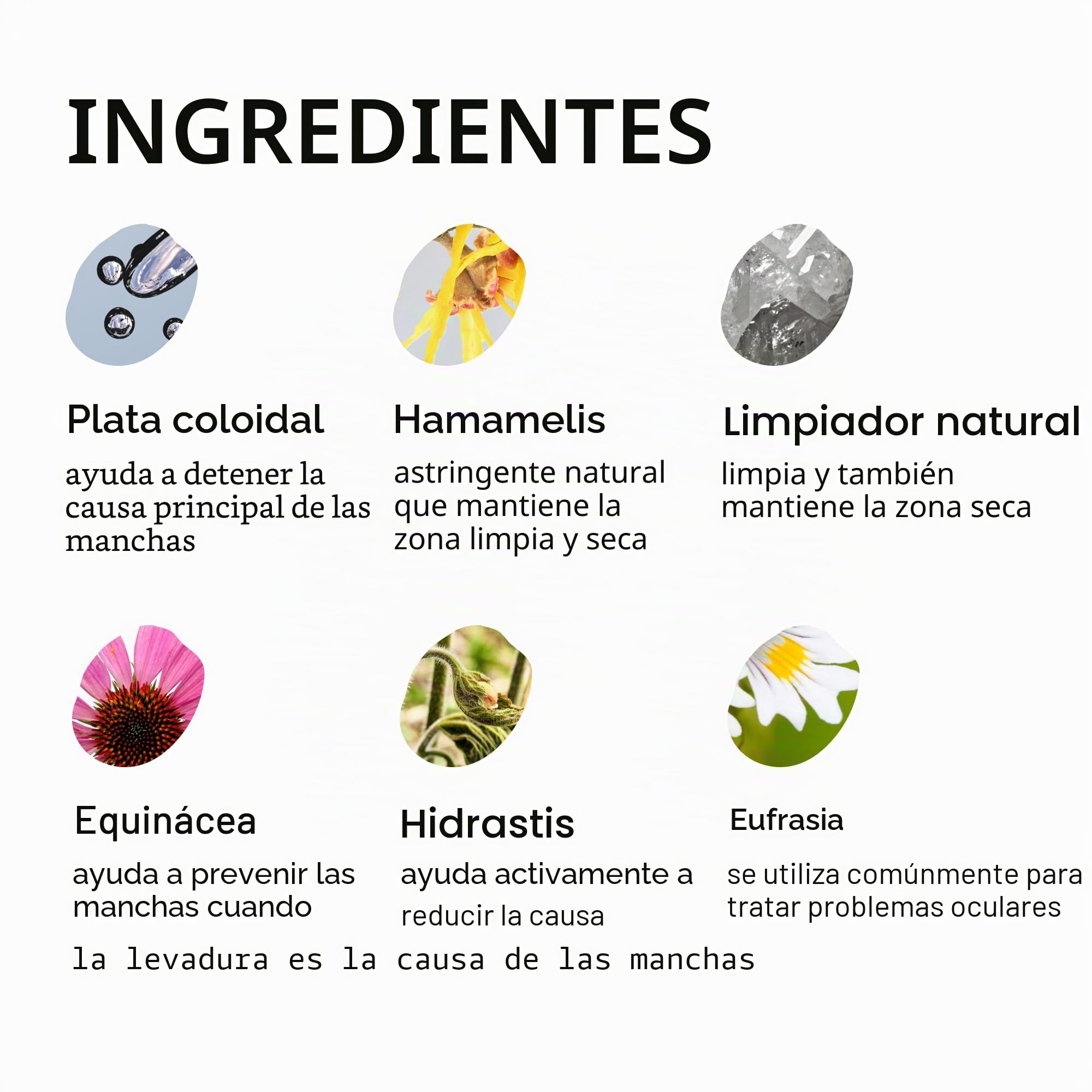 Eye Envy Kit quitamanchas de lágrimas de perrode Inicio | Esenciales para Manchas de lágrimasen un Kit en un Sistema de 2 Pasos | Dura 30-45 días | Solución 2 FL.oz