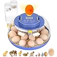 18 Egg Incubator with Automatic Egg Turning and Humidity Control, Incubators for Hatching Eggs, Chicken, Ducks, Goose, Pigeon, Quail, Parrot Incubator for Farm, Lab, Science Classroom, Home (Orange)