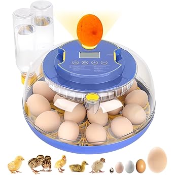 18 Egg Incubator with Automatic Egg Turning and Humidity Control, Incubators for Hatching Eggs, Chicken, Ducks, Goose, Pigeon, Quail, Parrot Incubator for Farm, Lab, Science Classroom, Home (Orange)