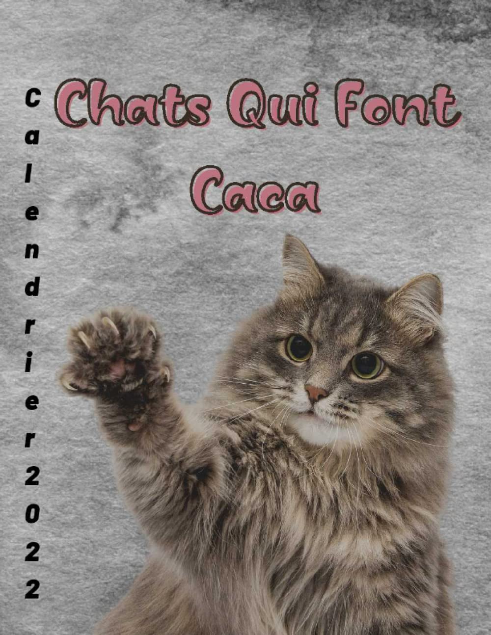 Buy Chats Qui Font Caca, Calendrier 2022-2023: Calendrier 2 ans, de Buy Chats Qui Font Caca, Calendrier 2022-2023: Calendrier 2 ans, de