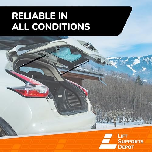 Miniatura 5 de Soporte de suspensión neumático para puerta trasera