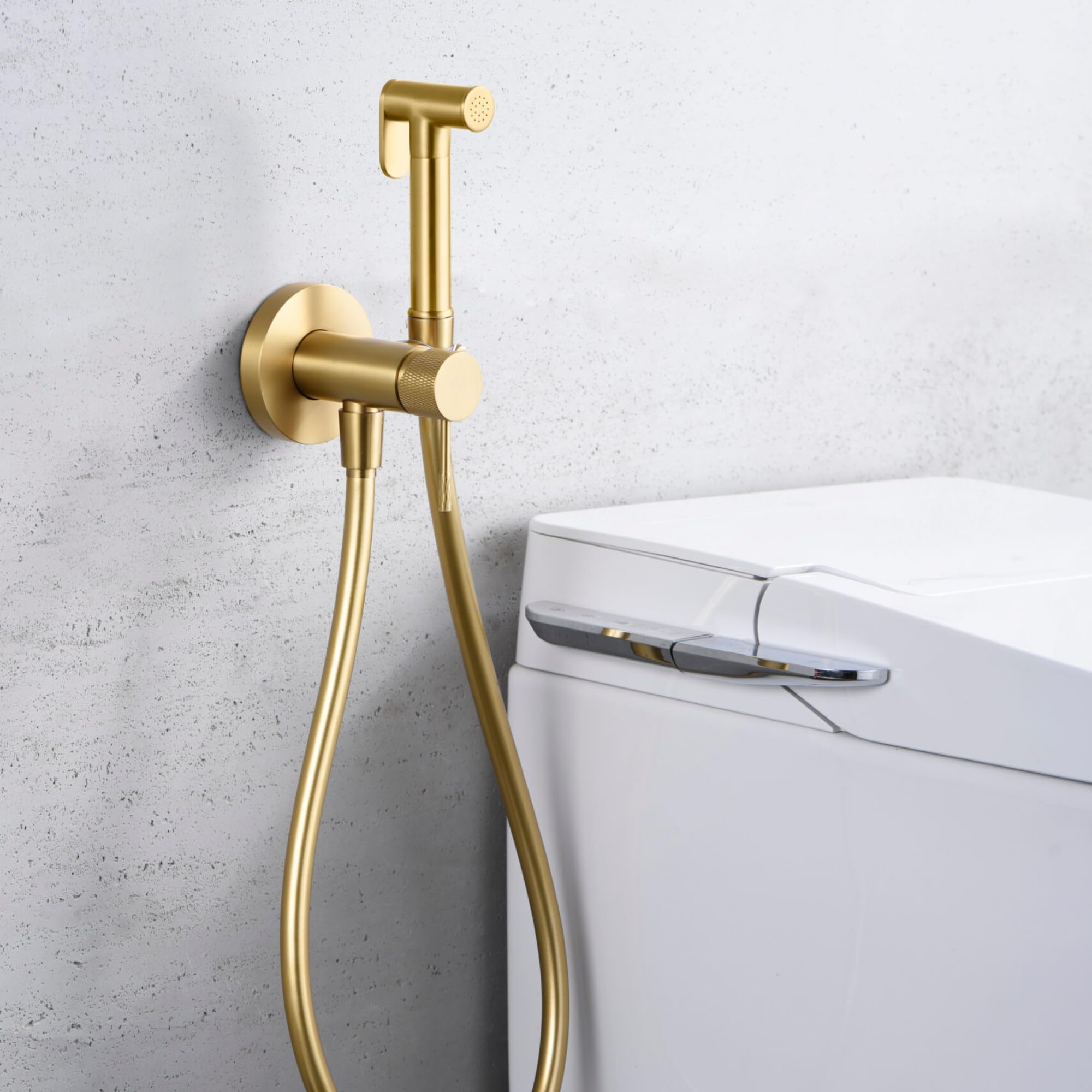 IMEX - Bidet bateria do zabudowy do toalety, prysznic bidet, zimna i gorąca woda, higieniczna głowica prysznicowa do toalety bidet, spryskiwacz bidet, zamiennik bidetu, łatwa instalacja (szczotkowane