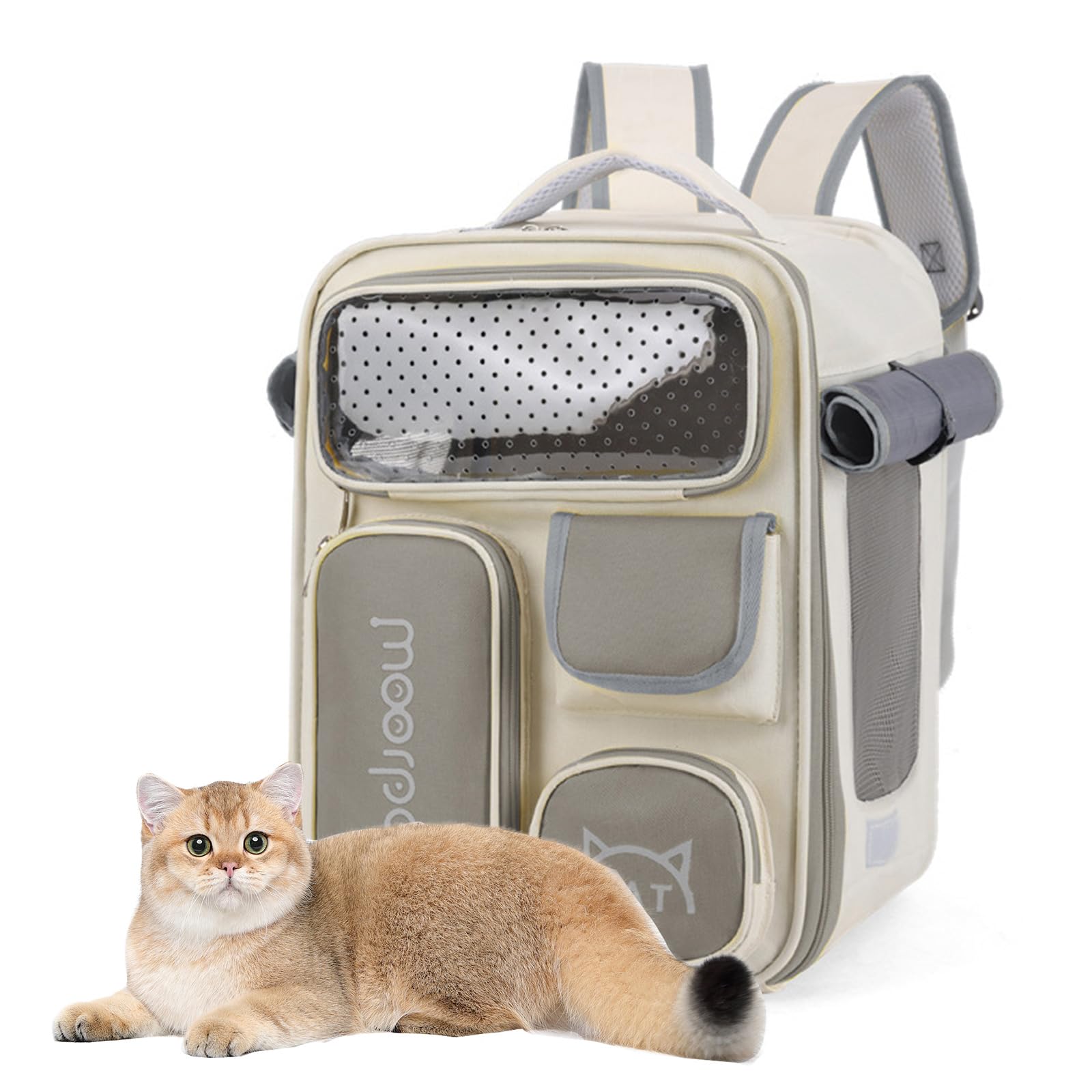 PETCUTE Mochila para Gatos,Plegable Bolsa de Transporte para Mascotas Gatos Perros con Correa de Seguridad Interior,Mochila Transportín Gato Bien Ventilado con Alfombrilla Extraíble,Carga Máxima 7 kg