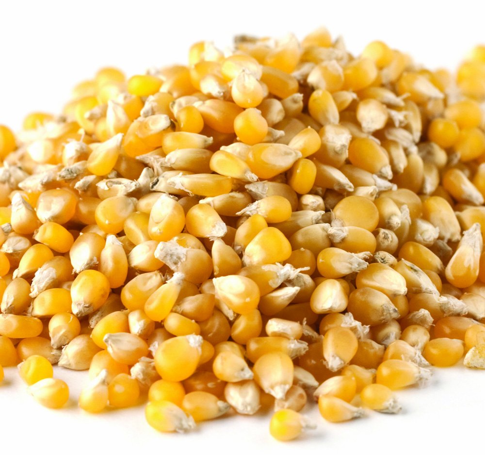 Yankee Traders Lady Finger Popcorn, 3 Pound