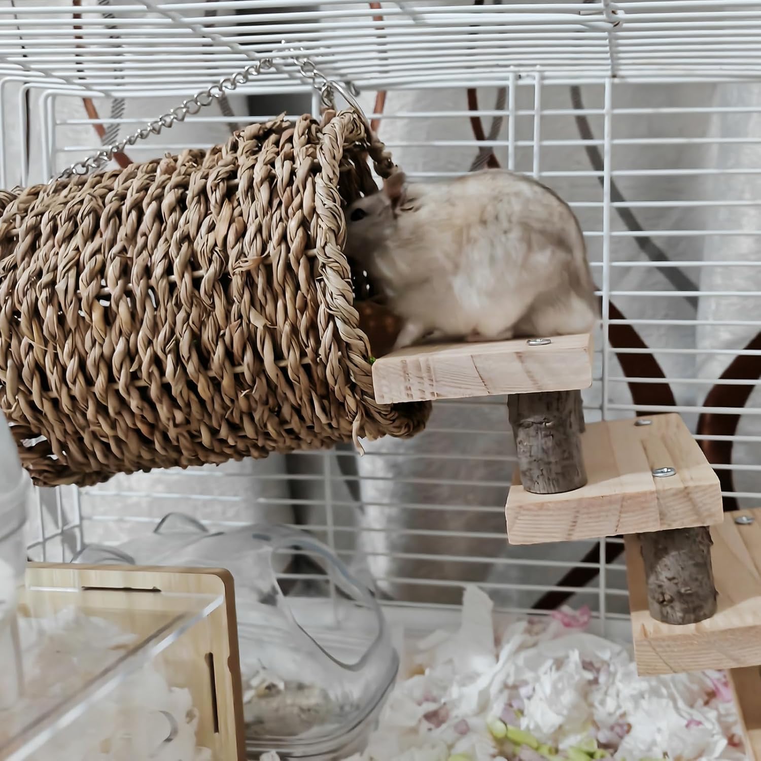 Hamiledyi Hamster Climbing Ladder Wood Stair and Hanging Hammock Set Wooden Molar Toys Cage Accessories for Syrian Hamster Gerbil Mice 6 71rFBFP6o+L. AC SL1500