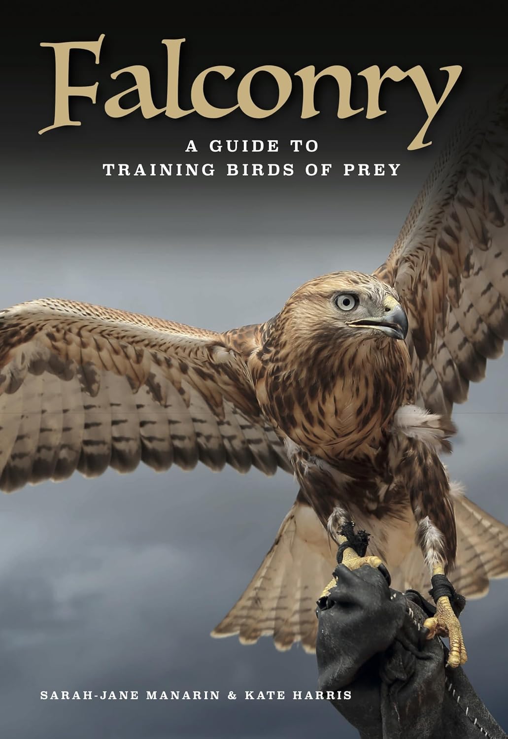 Falconry: A guide to training birds of prey book