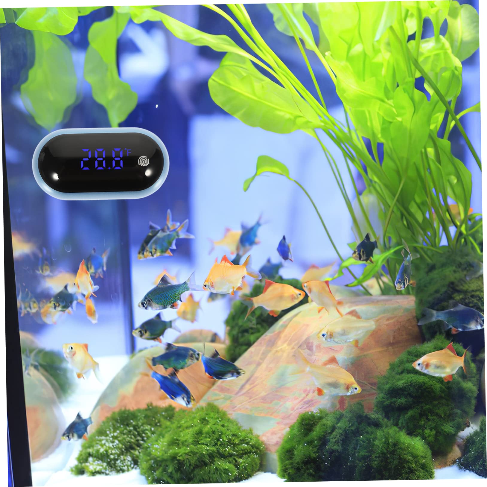 Sosoport 3stücke Professionelles Aquariumthermometer Mit Großem -display Tragbar Und Hochpräzise Für Aquarien Und Teiche Einfache Handhabung Energiesparend Und Langlebig