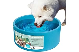 StayWarm: A Warm Water Oasis for Your Furry Friends