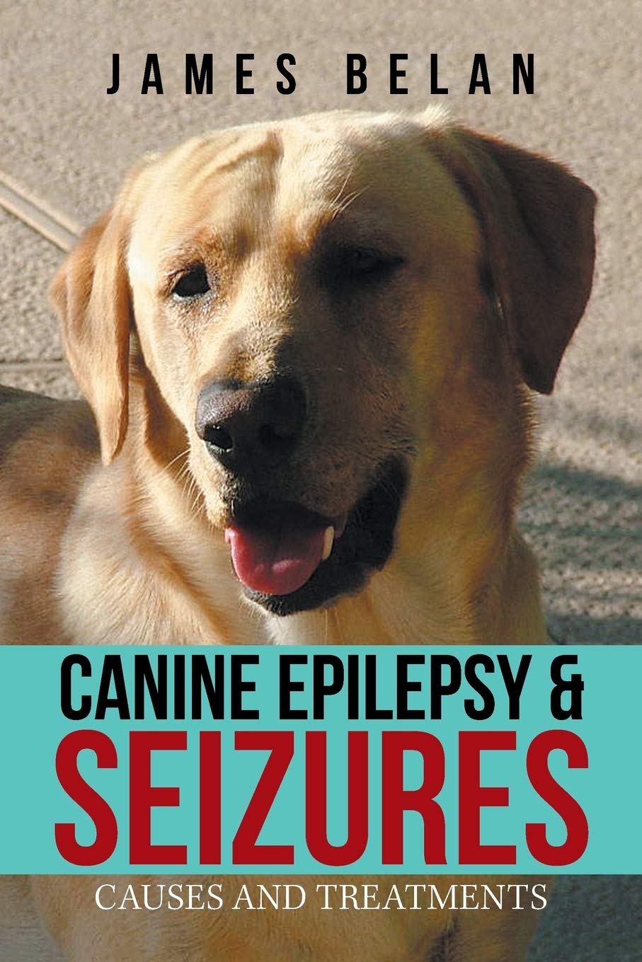 Are Seizures Common In Labradors