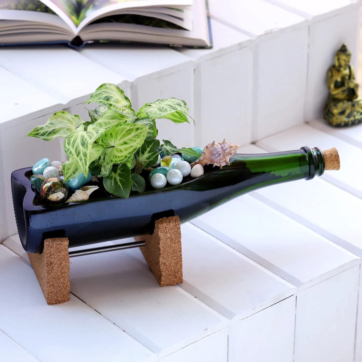 See full amazon price history chart for INDIAN DECORATION Champagne Bottle Planter Planter for Living Room Bedroom Display Plant Planter Pot Terrace, Garden Suitable for Home INDIAN DECORATION Champagne Bottle Planter Planter for Living Room Bedroom Display Plant Planter Pot Terrace, Garden Suitable for Home (B0BC9FQBK7) Amazon Price History, Amazon Price Tracker