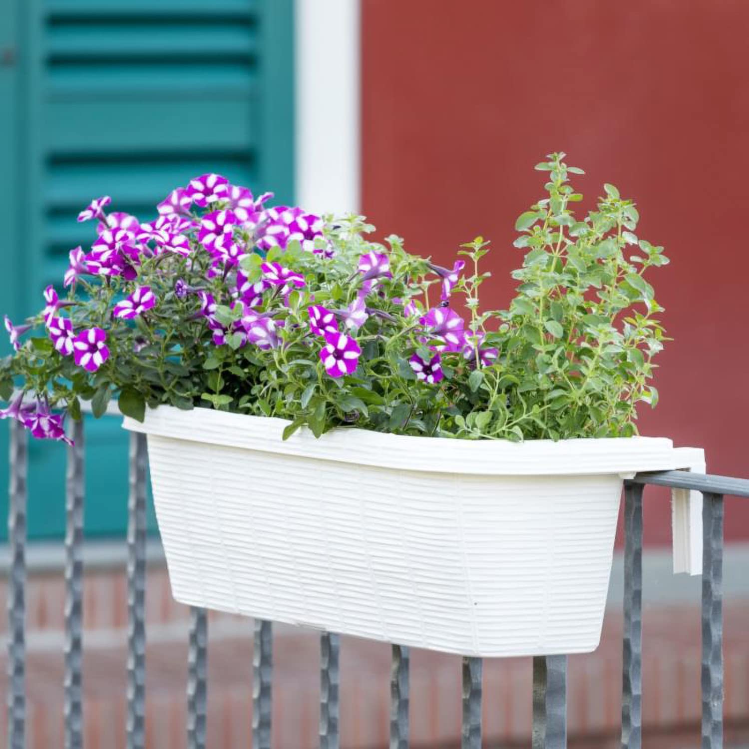FRANKYSTAR Rondine 60 - set di 3 balconiere intrecciate da 60cm con agganci regolabili e riserva d'acqua (Panna)