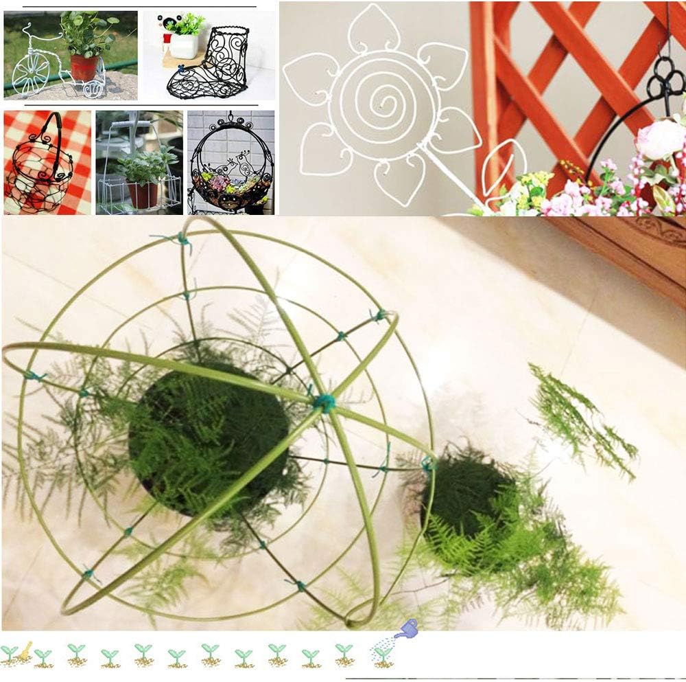 VIMOA Garden Twine Bonsai Training Wire 65 Feet 2mm Garden Twist Tie DIY Plant Cage for Tomato Plants, Climbing Roses, Vines, Cucumbers and Squash : Patio, Lawn & Garden
