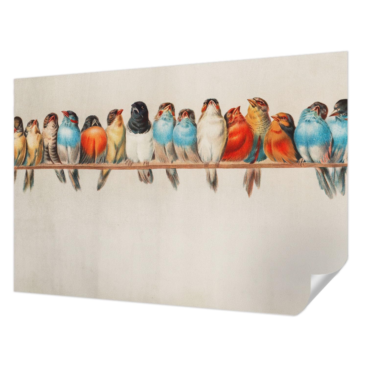 Décor de pose murale moderne résistante aux taches 152x104 cm