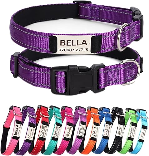 Rising paw Collares de perro con placa de identificación grabada ajustable personalizados placa de identificación grabada con láser collar de perro