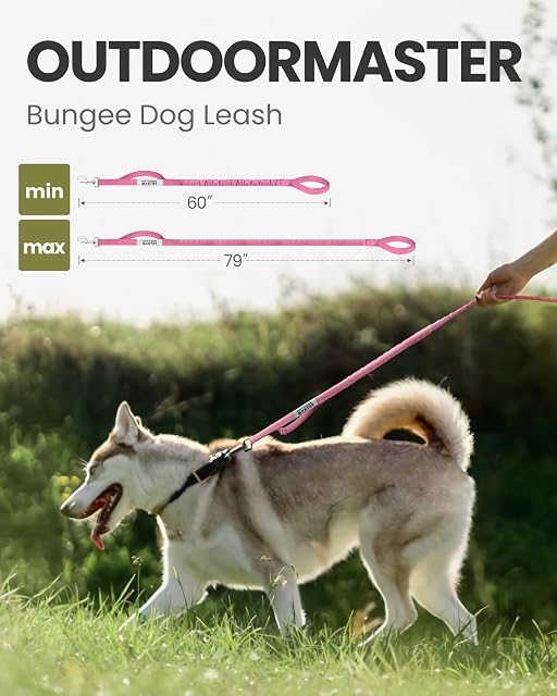 Foto 3 de 6 de OutdoorMaster Correa elástica para perro, correa resistente para perro con absorción de golpes