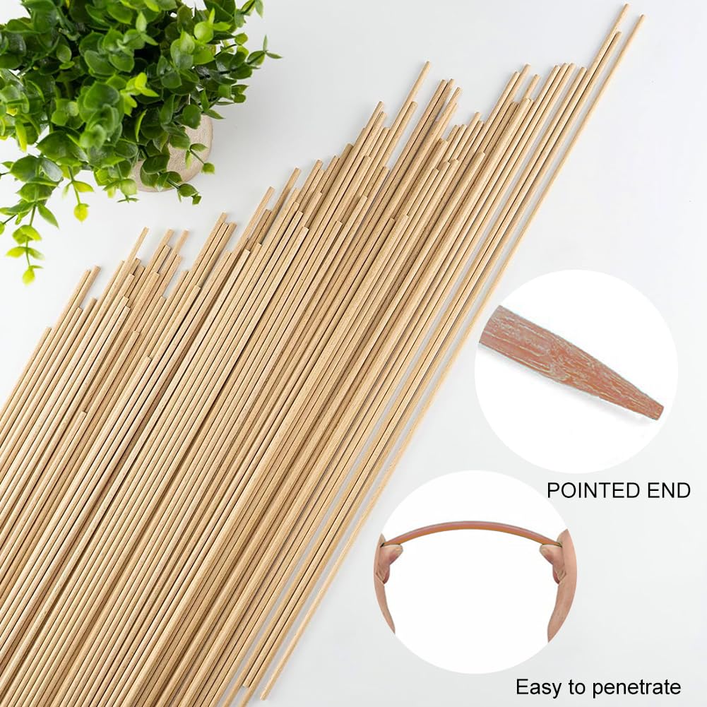 48 Stck Pflanzenstbe, Pflanzensttzen Rankstbe, 30cm Pflanzenstab  Rankhilfe mit 100 Metallischen Bindebndern, Pflanzenstab Bambus Grn,  Orchideenstab Plant Sticks, Pflanzstbe,Pflanzstab Bambus : Amazon.de:  Garten