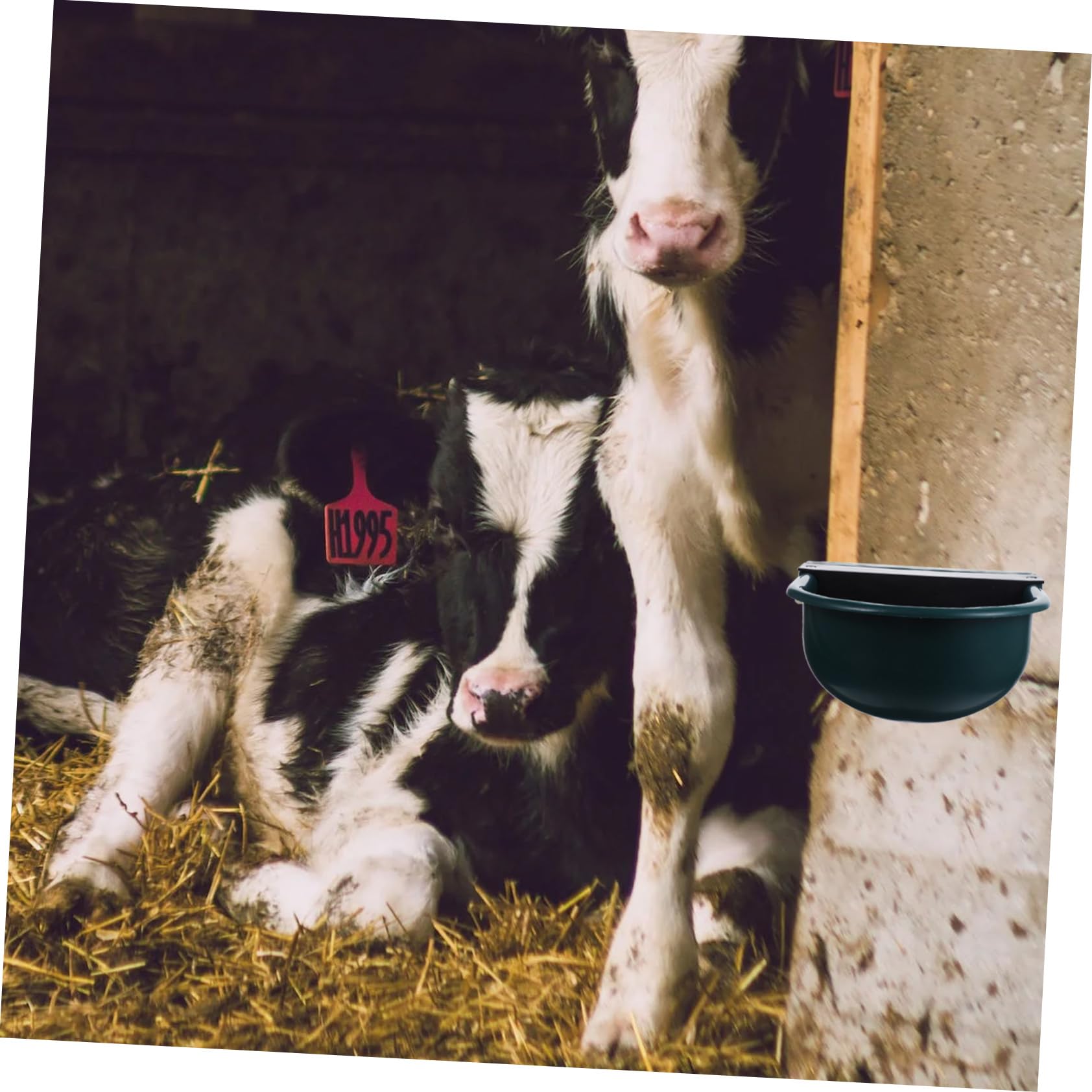 Bebedero Automático para Vacas y Ganado, Nivel Constante, Azul | Plástico, Uso en Granja, sin Deformación ni Óxido, Limpieza Sanitaria, para Ovejas y Bovinos Color Aleatorio