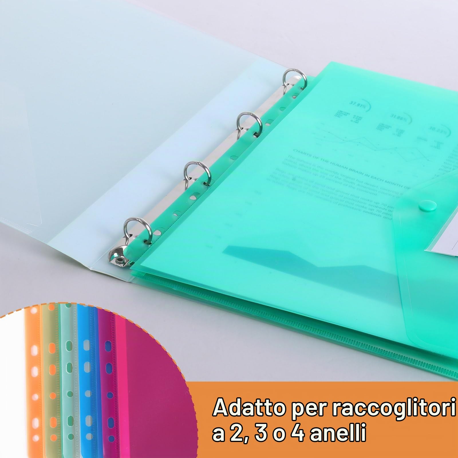 DATEFUN Cartellina Portadocumenti A4 Tridimensionale 20 Pezzi, Buste Trasparenti A4, Busta Portadocumenti con Apertura a Busta e Bottone per Casa Ufficio Scuola (Bianco)