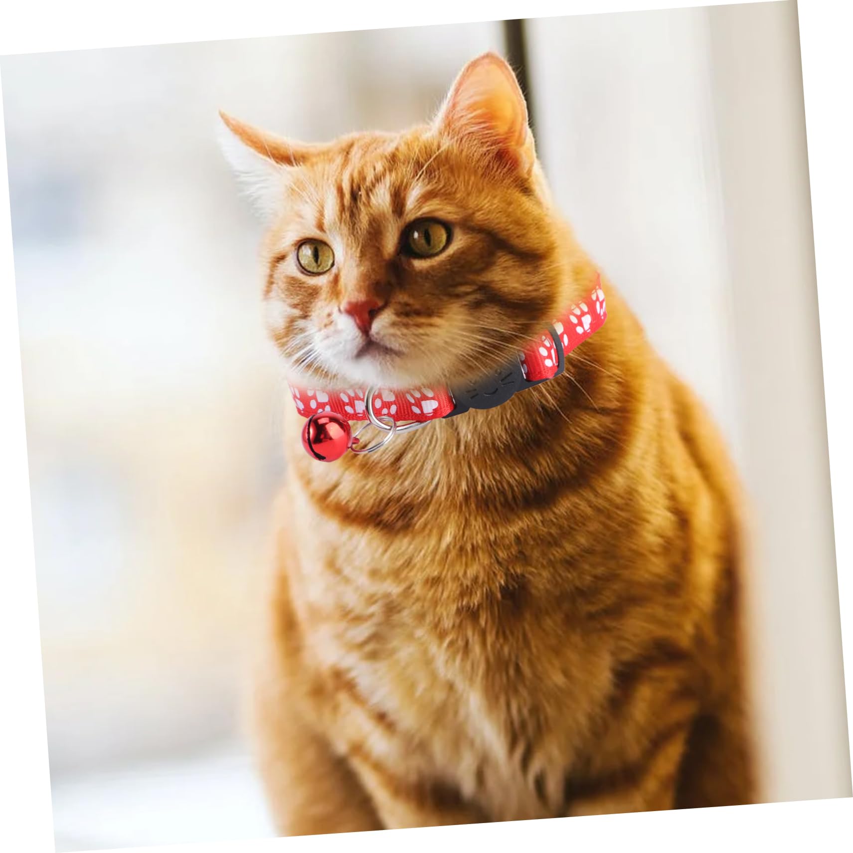BESPORTBLE 36stücke Katzenhalsband Mit Glöckchen Und Flexibel Für Hunde Und Katzen Für Und Outdoor-aktivitäten