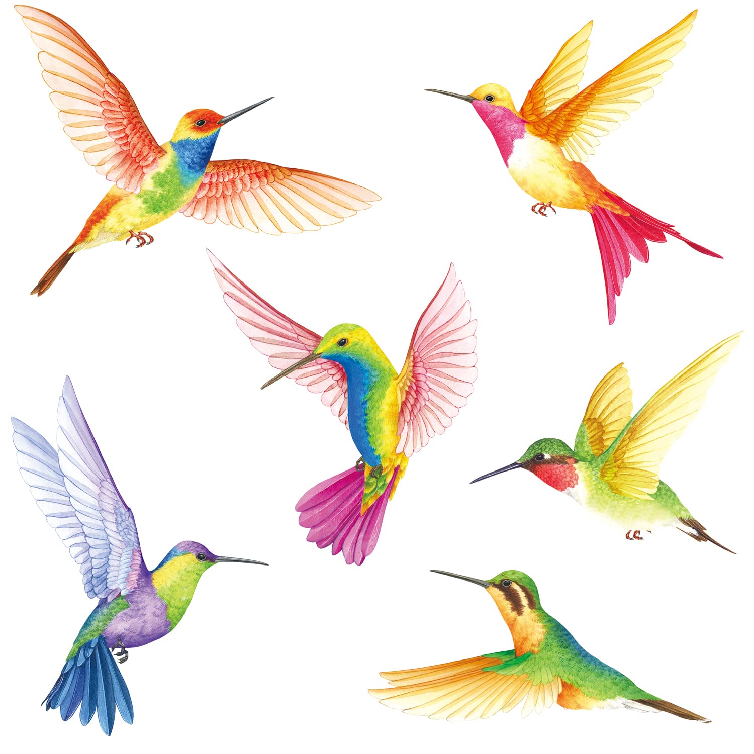 BASHOM DS2-4002 Hummingbird Wall Sticker for Bedroom, Living Room, Children's Room, Hallway, Kitchen, Window Decoration