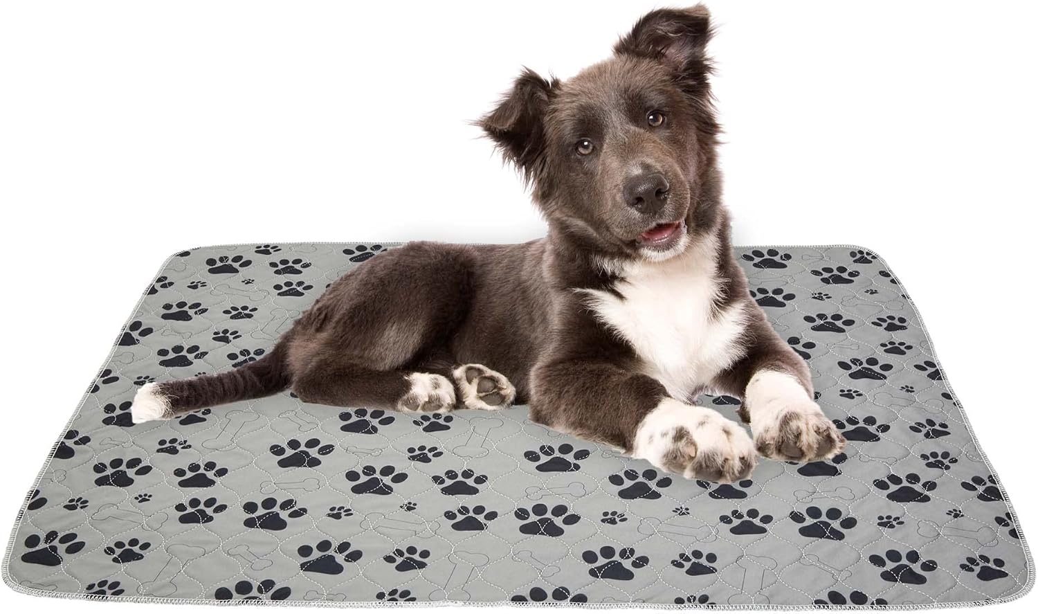 Drylife Washable Puppy Pads Reusable Super Absorbent Extra Large Dog