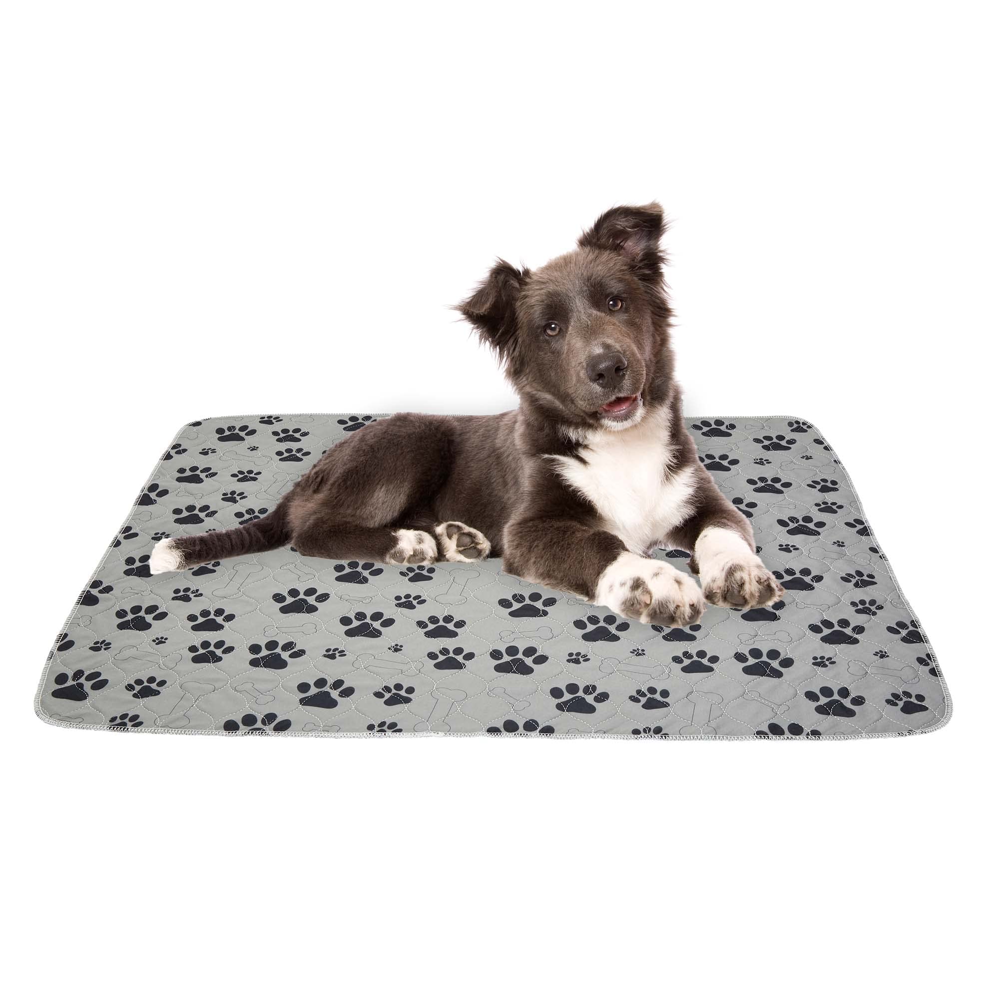 Drylife Washable Puppy Pads | Reusable Super Absorbent Extra Large Dog and Pet Training Mats | Anti-Slip, Quick Absorption, Locks in Pee, Odour Control, Floor Protection - 80x90cm (Grey, Pack of 4)
