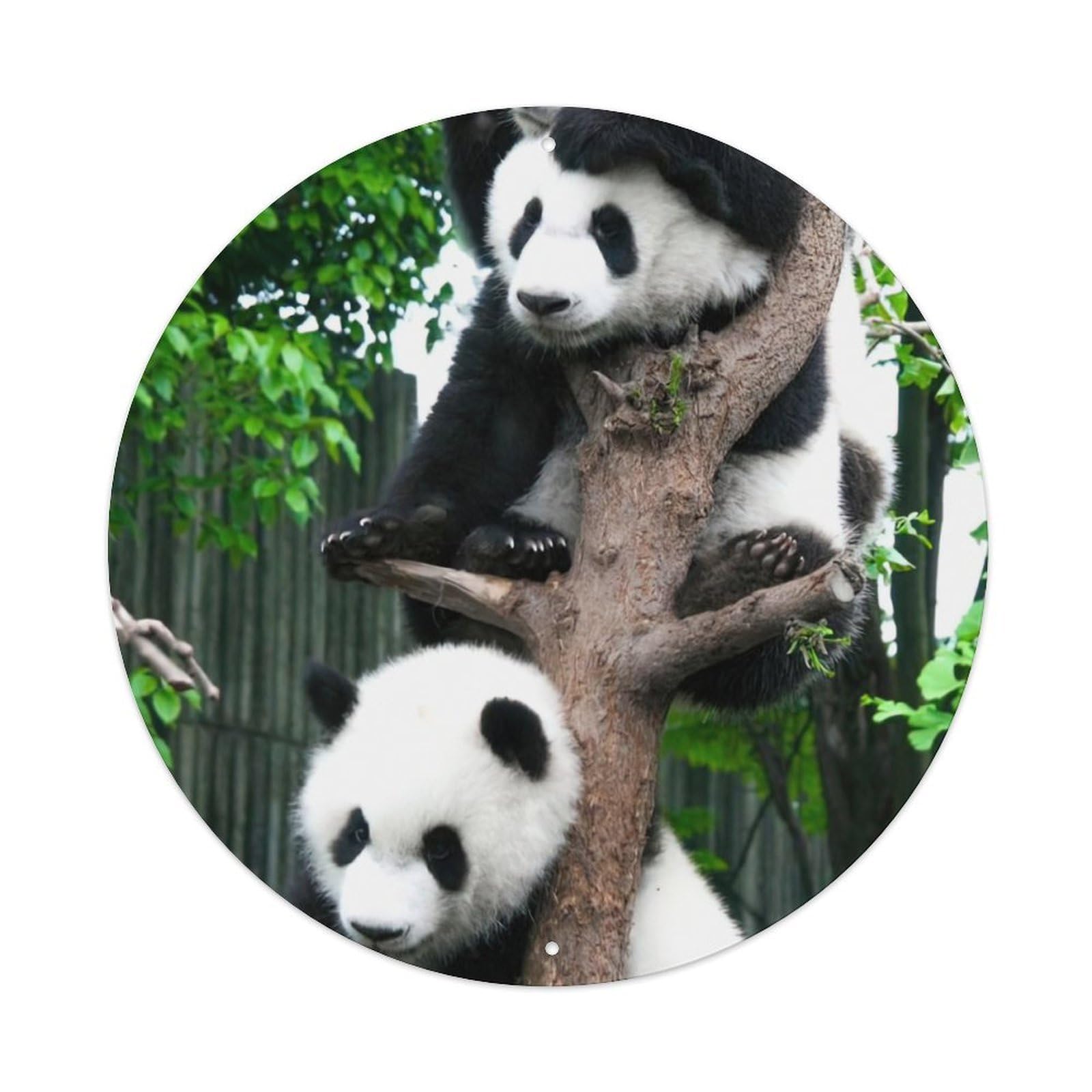 Animals Artwork Tree-climbing Panda Vintage Metal Tin Sign Plaque Wall Decor for Cafe, Club Bar, Office, Garden Metal Poster 8x8Inch