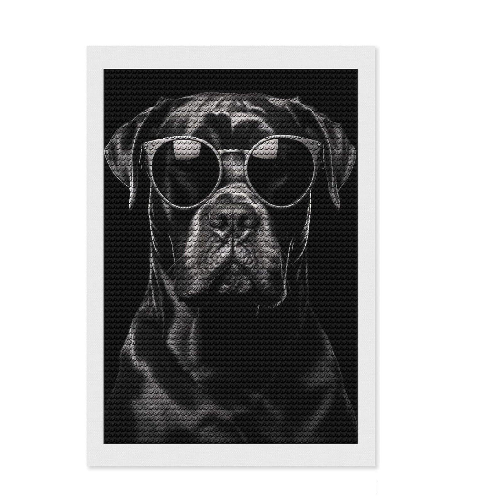 Junmoney Cane Corso Sunglasses Diamond Painting Kit 8"x12", Easy to Follow Symbols, Stress Relief Craft, Farmhouse Decor, Birthday Gift
