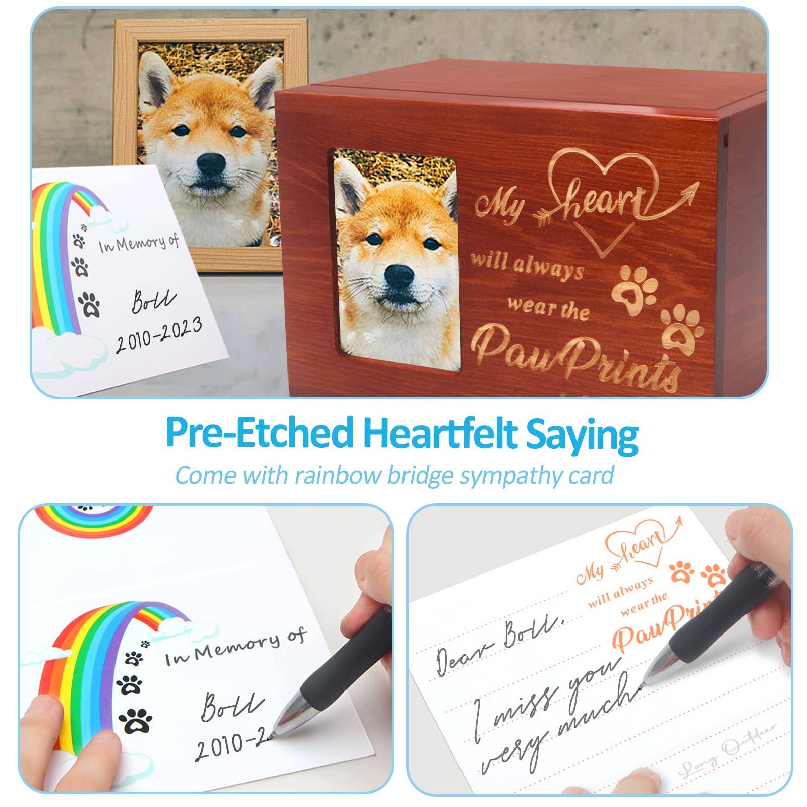 Murmelwunderöl für Gelenke und Muskeln, image size:1600x1600