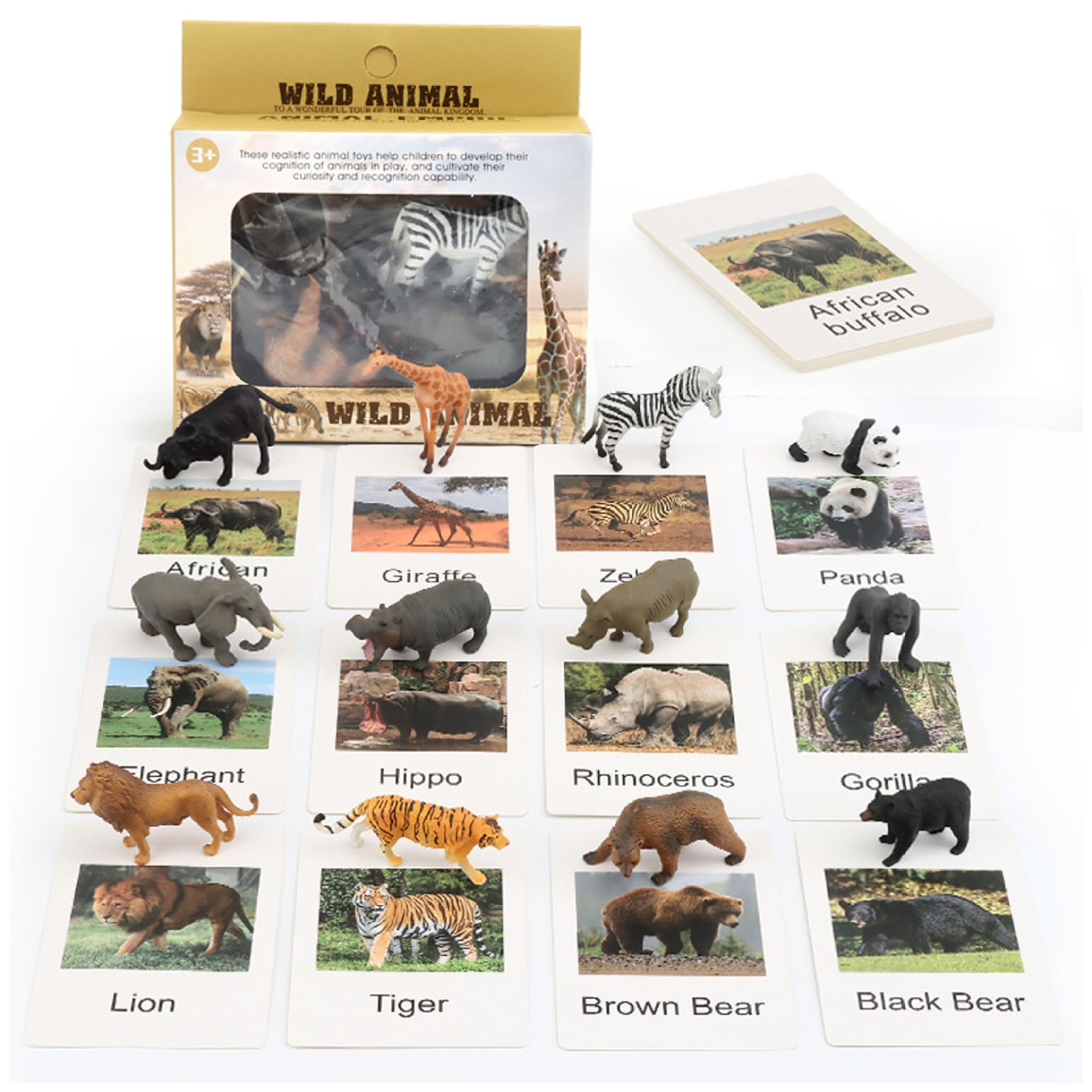 24 pezzi/set Abbinamento di animali Montessori, Gioco educativo di abbinamento di animali con selvatici simulati e carte inglesi, Gioco di per bambini piccoli Giocattoli di appre