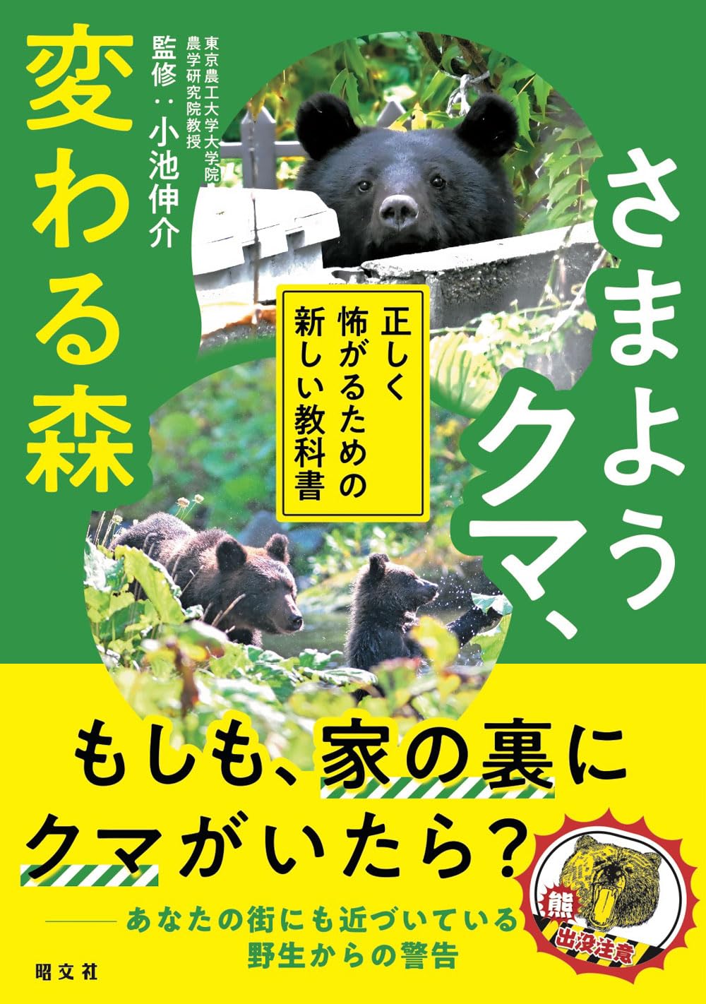 さまようクマ、変わる森 正しく怖がるための新しい教科書 | 昭文社