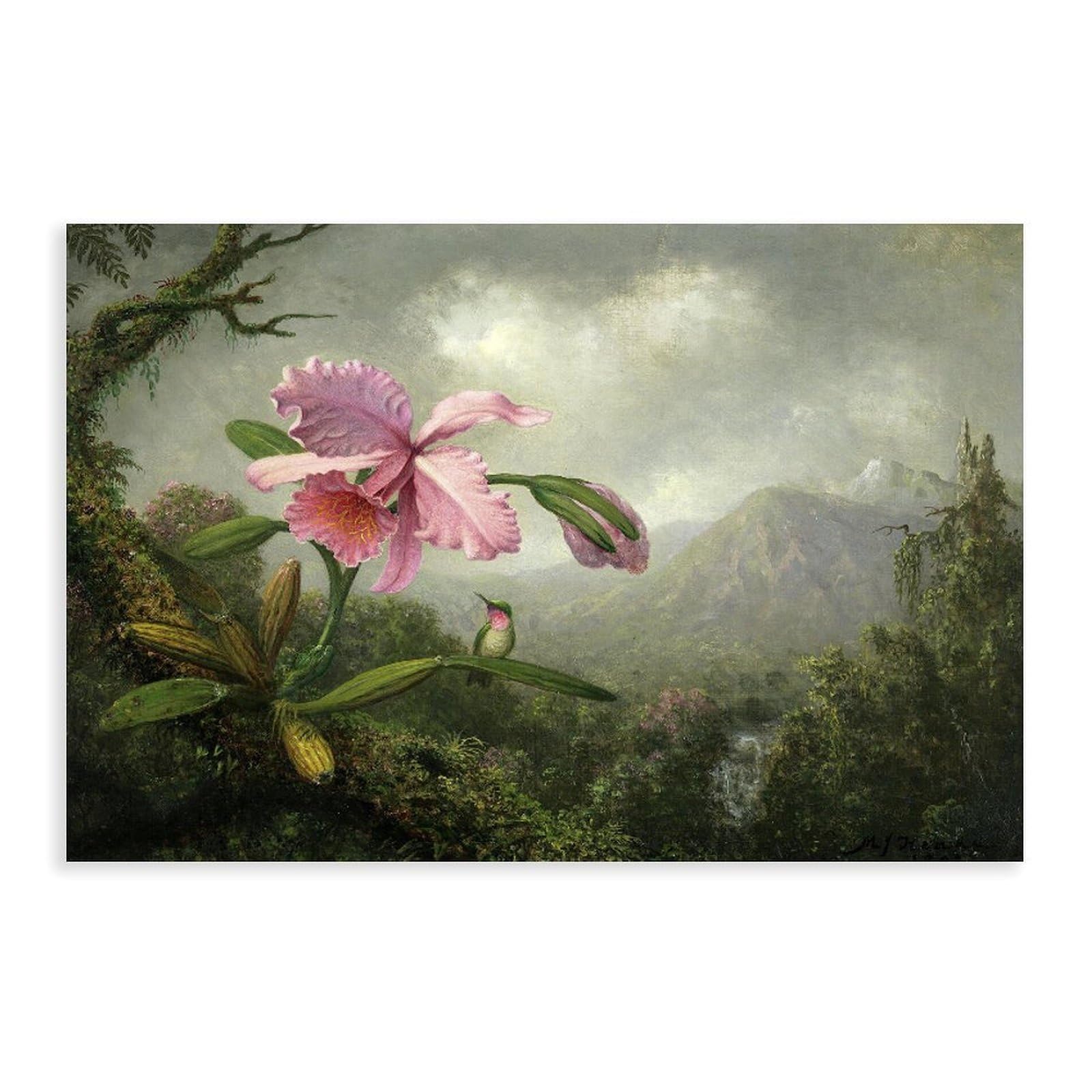 DFJyjFGJJ Martin Johnson Heade,Orchid And Hummingbird near A Waterfall Wall Decoration Poster Family Bar Restaurant Garage Cafe Art Sign Gift 16" L X 24" W