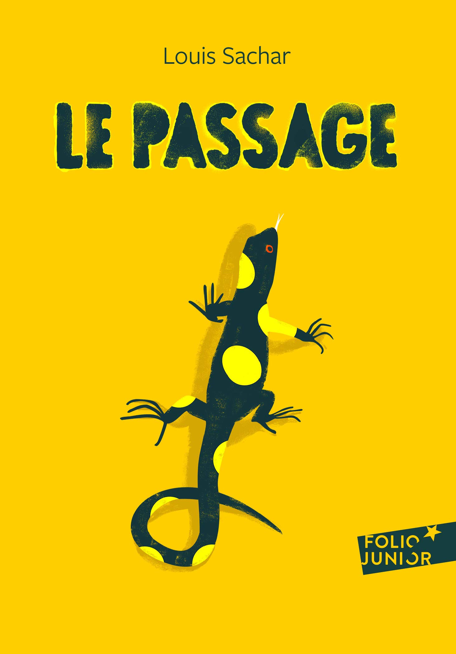 Le passage (Holes) (Folio Junior)