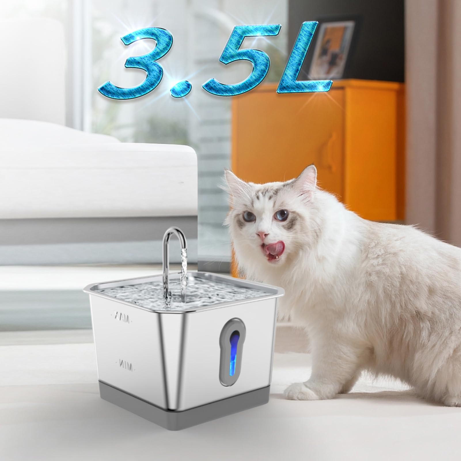 Fontana per gatti con rilevamento intelligente