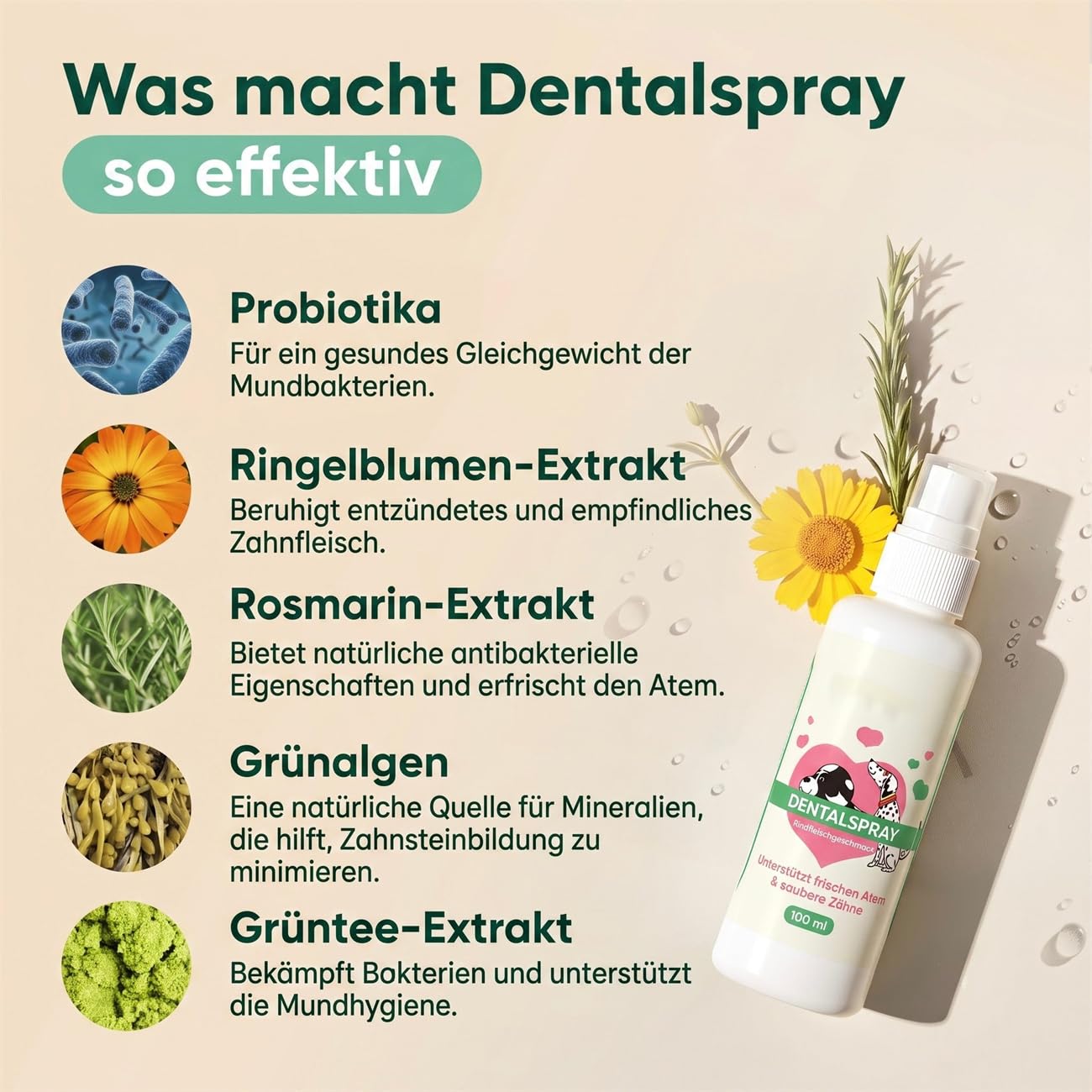 Dentalspray für Hunde – Zahnsteinentferner & Zahnpflege Spray – Gegen Mundgeruch, Plaque & Zahnfleischprobleme