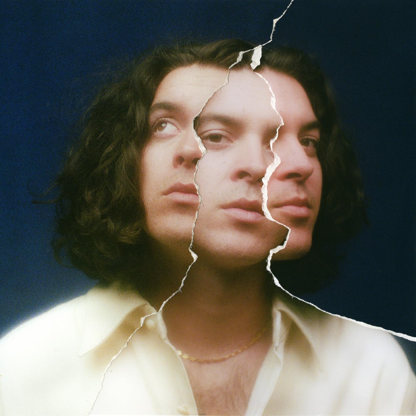 Hybride [Vinyl LP] [VINYL]