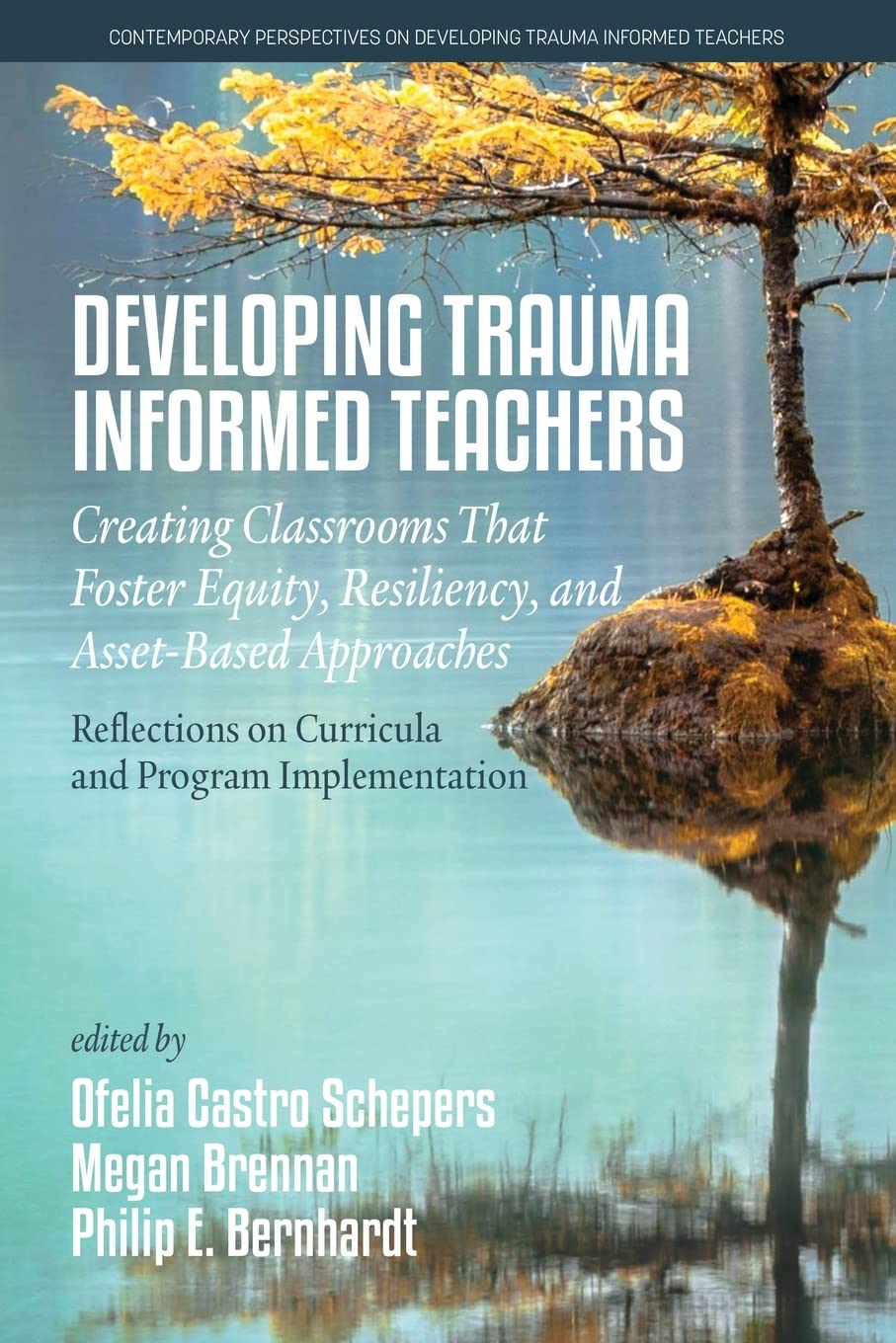 Developing Trauma-Informed Teachers: Creating Classrooms that Foster ...