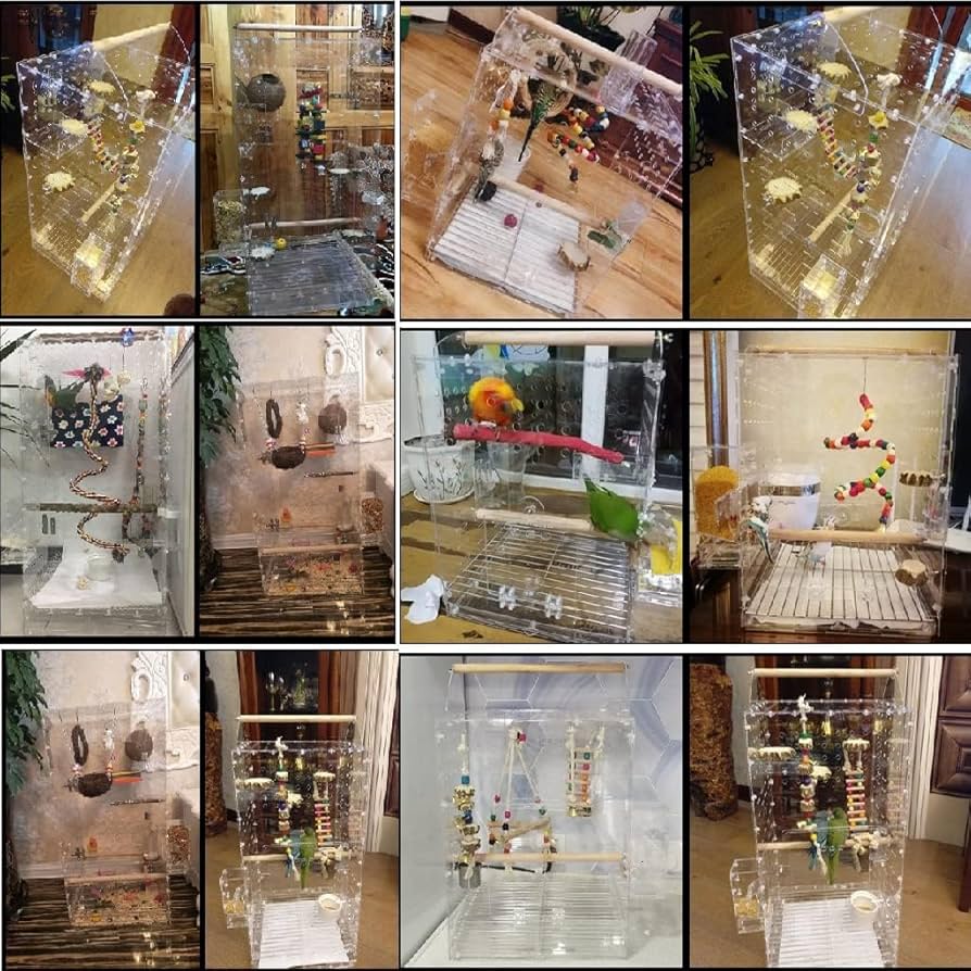 アクリル製ハウス型鳥かご 小鳥用 鳥カゴ アクリル鳥かご家庭用観賞小型養殖かごプラスチック二層の はね