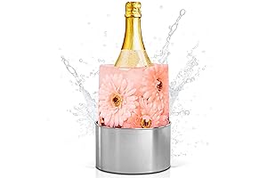 Ice Mold Bottle Chiller Champagne Ice Bucket Mold