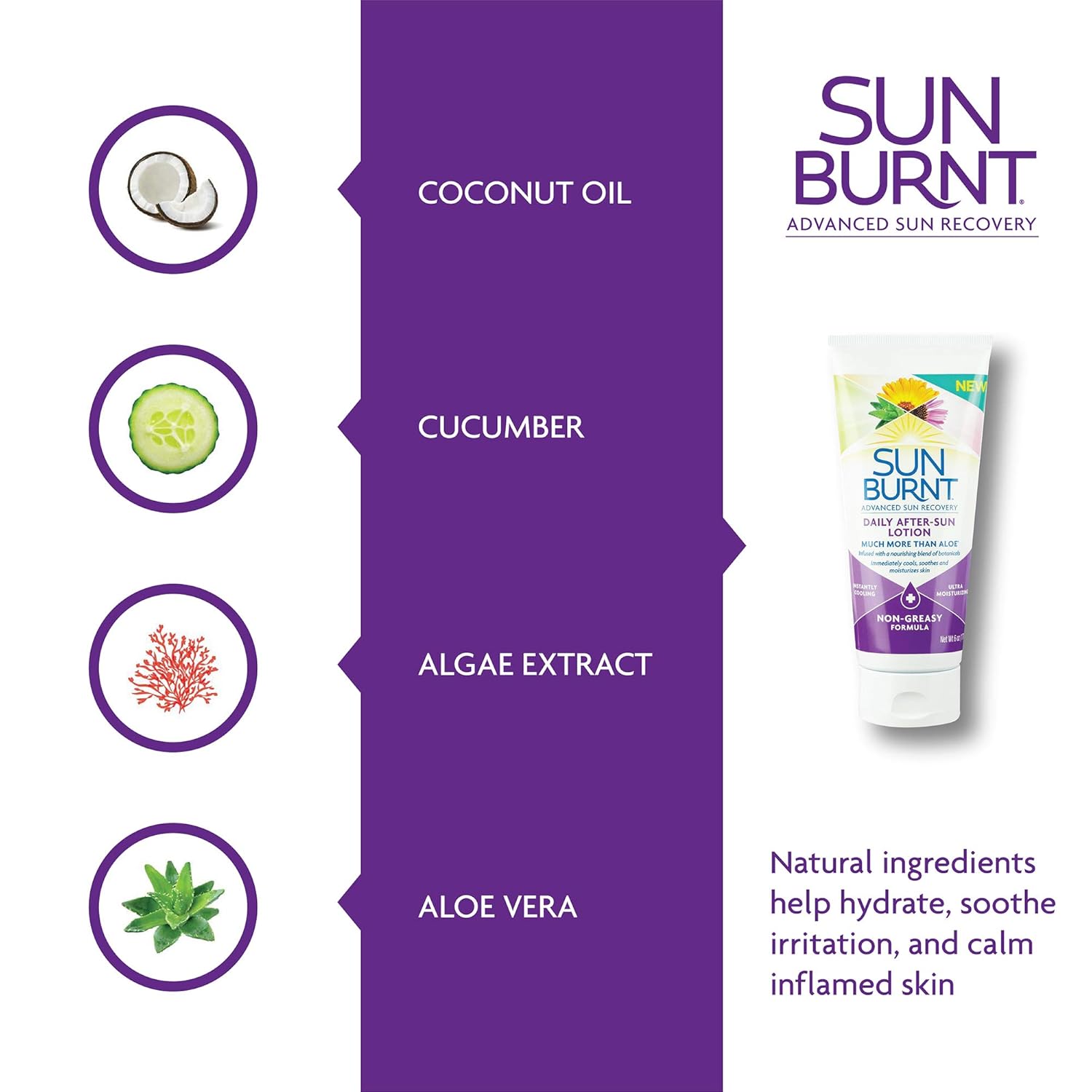 Sunburnt Advanced After-Sun Lotion, 6 Ounce : Beauty & Personal Care