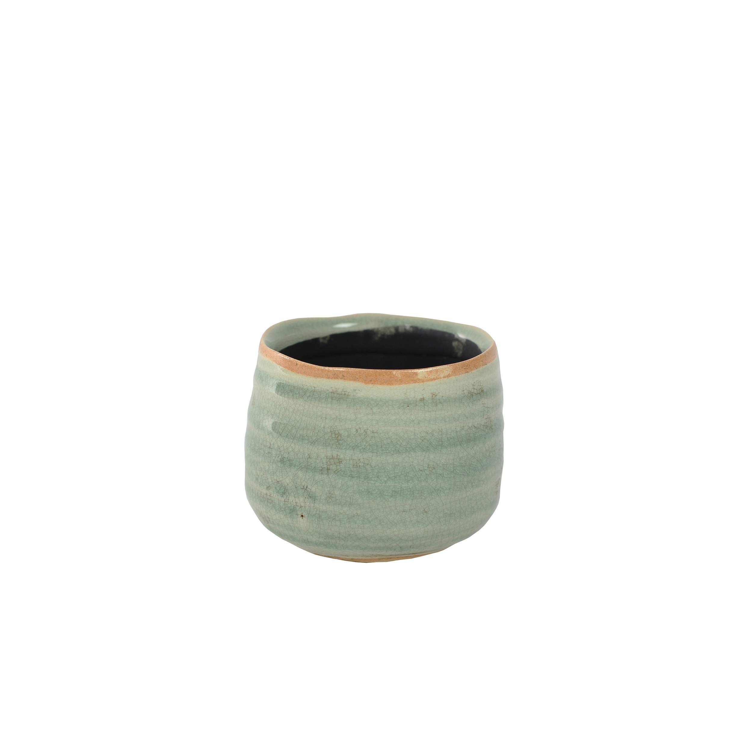 Ivyline 136329 D18 H15Como - Vaso per Menta Verde