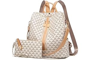 2-in-1 Designer Backpack Purse for Women