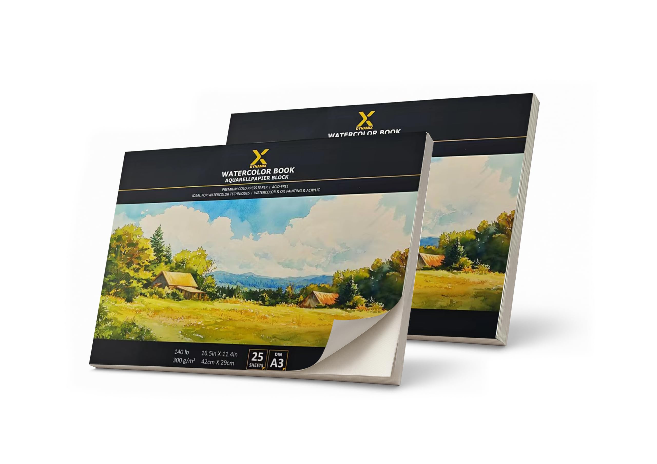 Blocco di carta per acquerello di alta qualità, 300 g/m², 25 pagine, qualità artistica, senza acidi, pressata a freddo, ideale per acquerelli, schizzi e supporti misti (A3, confezione risparmio doppio
