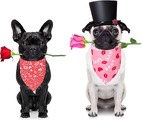 Miniatura 5 de Adoggygo Bandana para perro para el día de San Valentín varios tamaños ofrecidos bufanda triangular reversible para perros pequeños pequeño rojo y