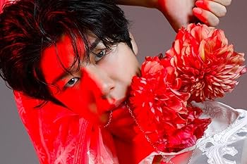 台紙図鑑DX 趣味雑誌 台紙図鑑DX 趣味雑誌 週刊TVガイド関西版2025年4月23日号増刊 TV