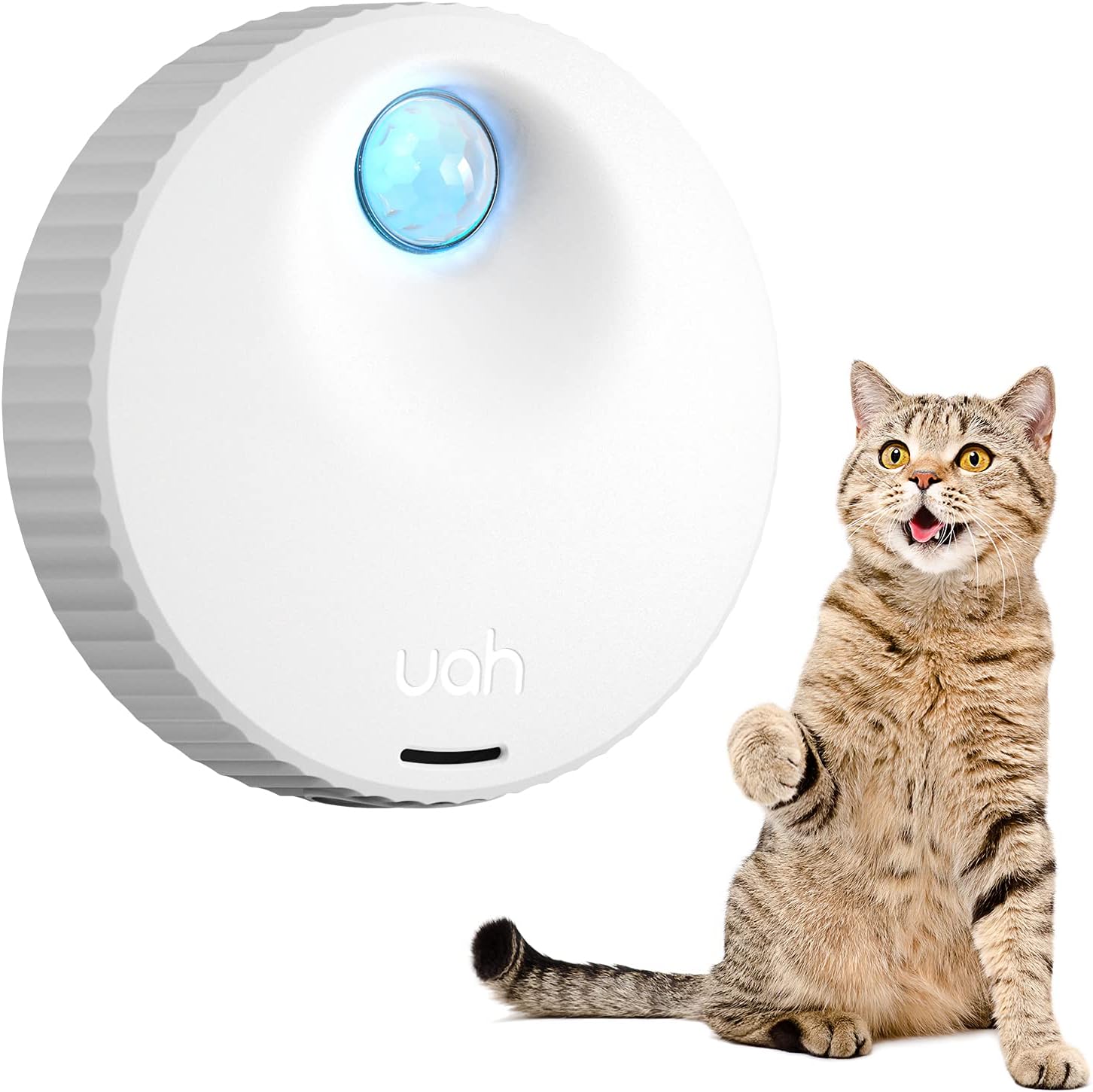 uahpet Cat Litter Deodorizer Odor Eliminator 99.9% Dust-Fall for All Kinds of Cat Litter Box Bathroom Wardrobe Kitchen and Small Area( 80% Deodorization /99% Deodorization)