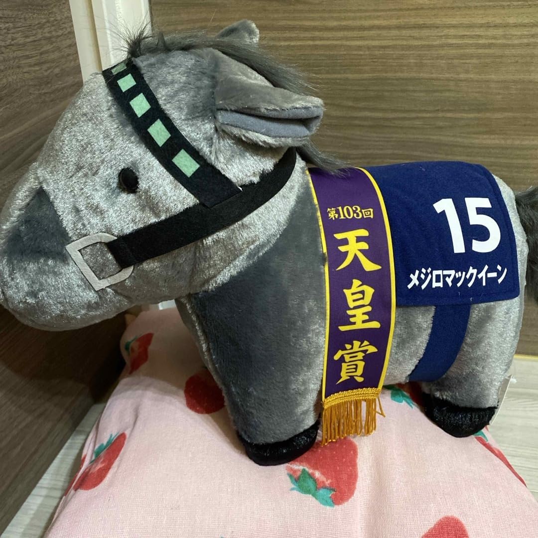 Amazon.co.jp: メジロマックイーン BIGぬいぐるみ : おもちゃ