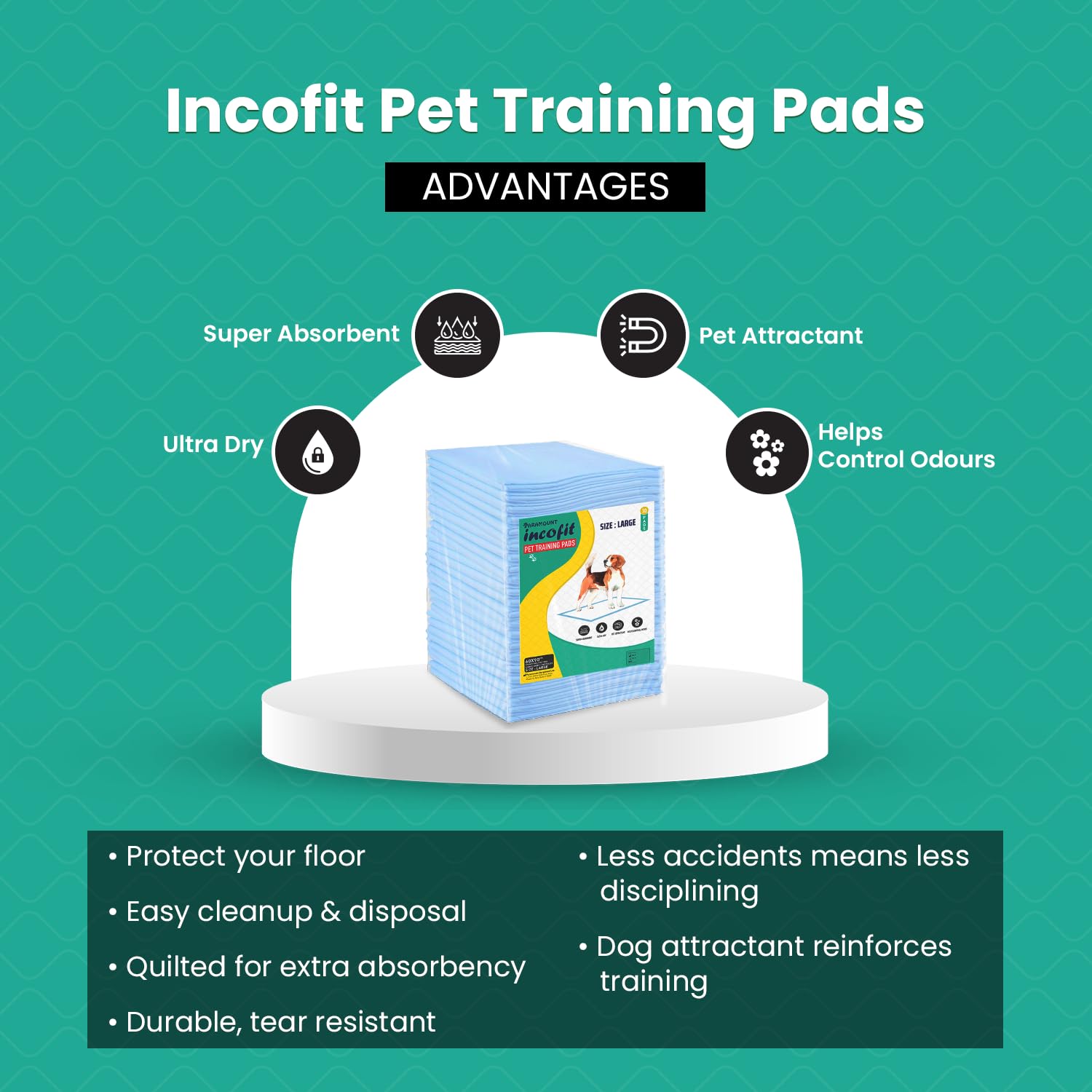 Incofit Pet Training Pads 60 X 90 cm Extra Large 30 Counts with Leak-Proof Quick-Dry Design, 5 Layered Leak Proof, Potty & Peeing Toilet Trainer, Non Slippery 3