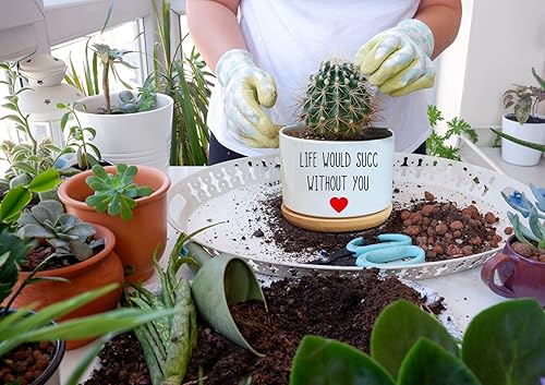 Miniatura 2 de Funny Life Would SUCC Without You - Macetas de cerámica blanca grabada, mini maceta para cactus suculentas, maceta para el alféizar de la ventana de