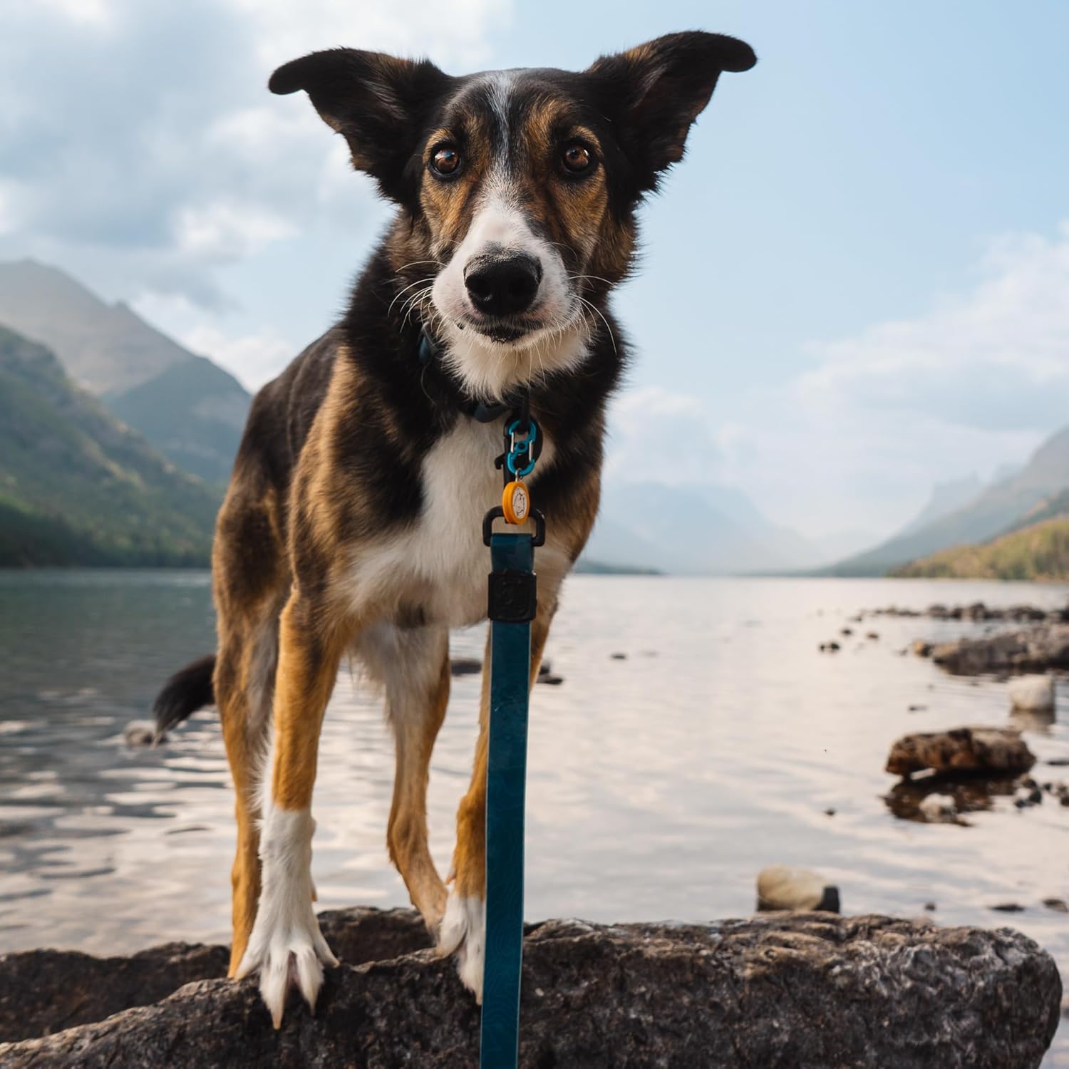 Wilderdog Waterproof Dog Leash - Repels Water & Dirt - Pacific Blue